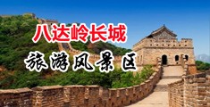 大鸡巴草逼逼的网站中国北京-八达岭长城旅游风景区