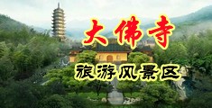 操我好痒打鸡吧操我在线免费观看中国浙江-新昌大佛寺旅游风景区